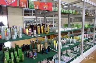 金正恩的隐藏身份 美妆达人化妆学校的秘密